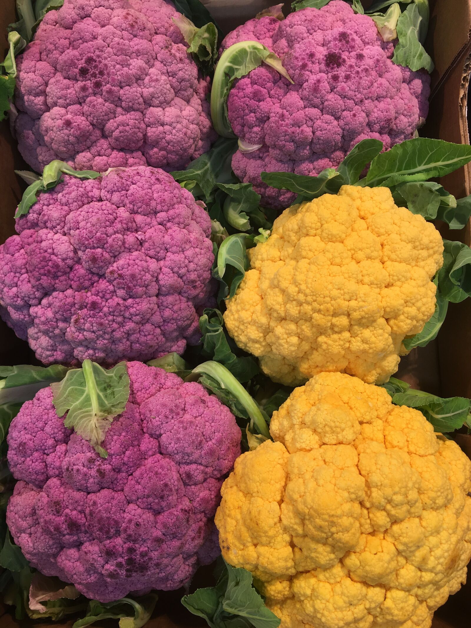 Apple iPhone 6s Plus sample photo. Cavoli, gialli, cavoli, viola photography