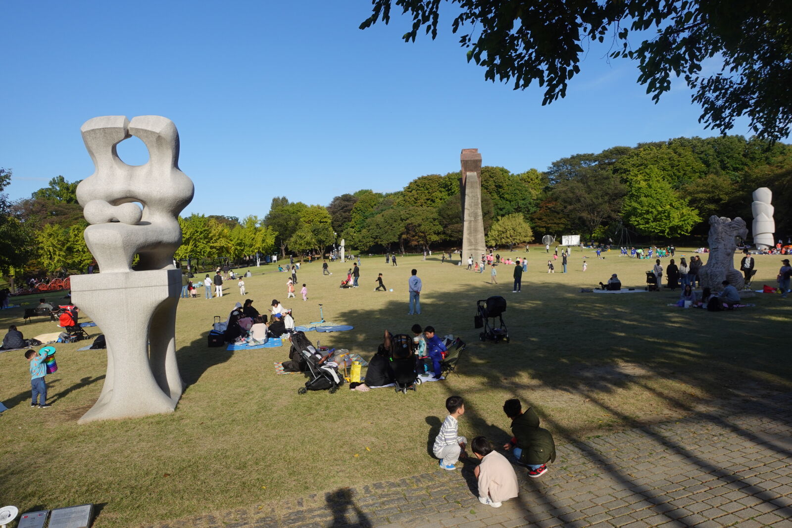 Sony ZV-1 sample photo