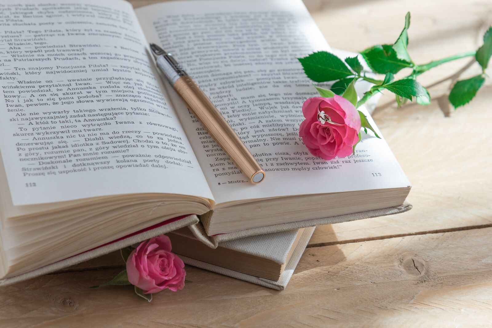 Canon EOS 7D Mark II sample photo. Book, pen, rose photography
