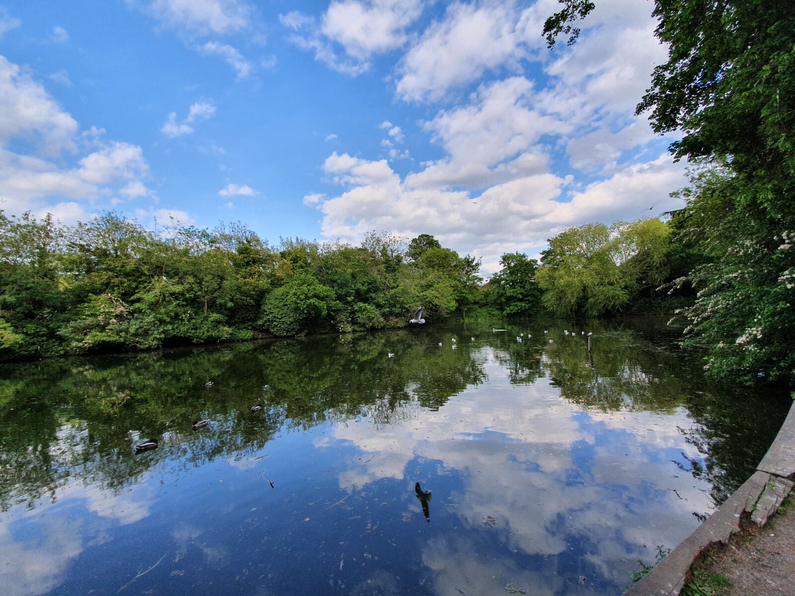 Samsung Galaxy S10+ sample photo. Landscape, lake, nature photography