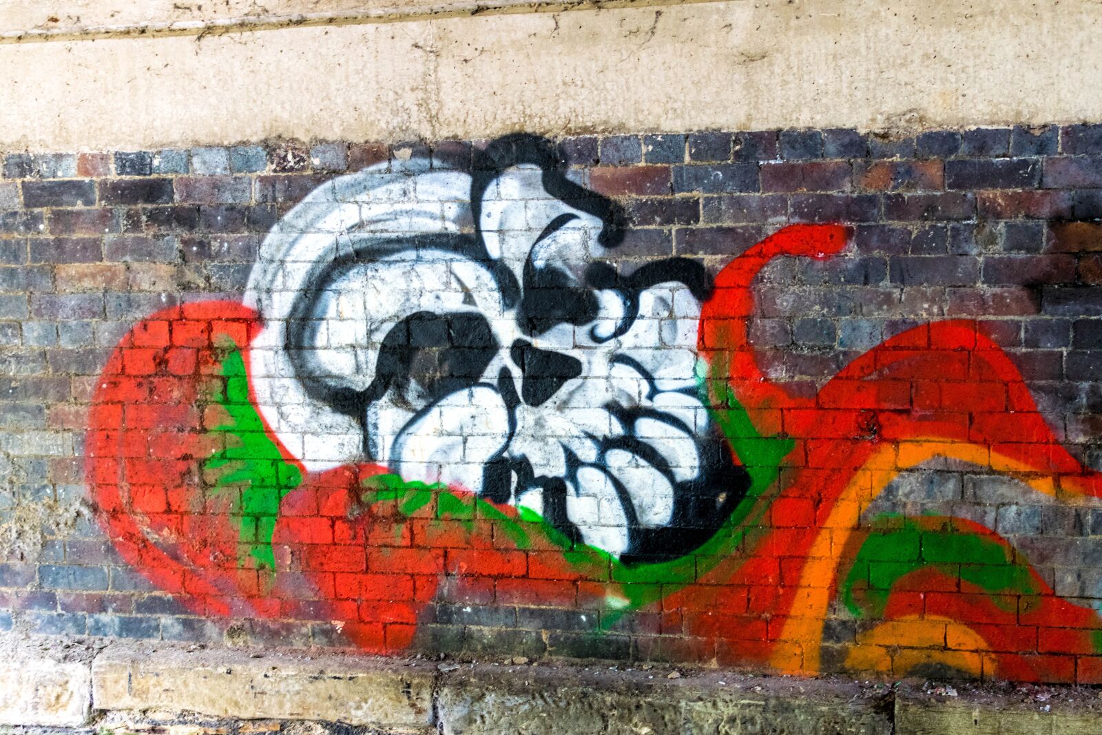 Nikon D3300 sample photo. Skull, grafitti, artistic photography