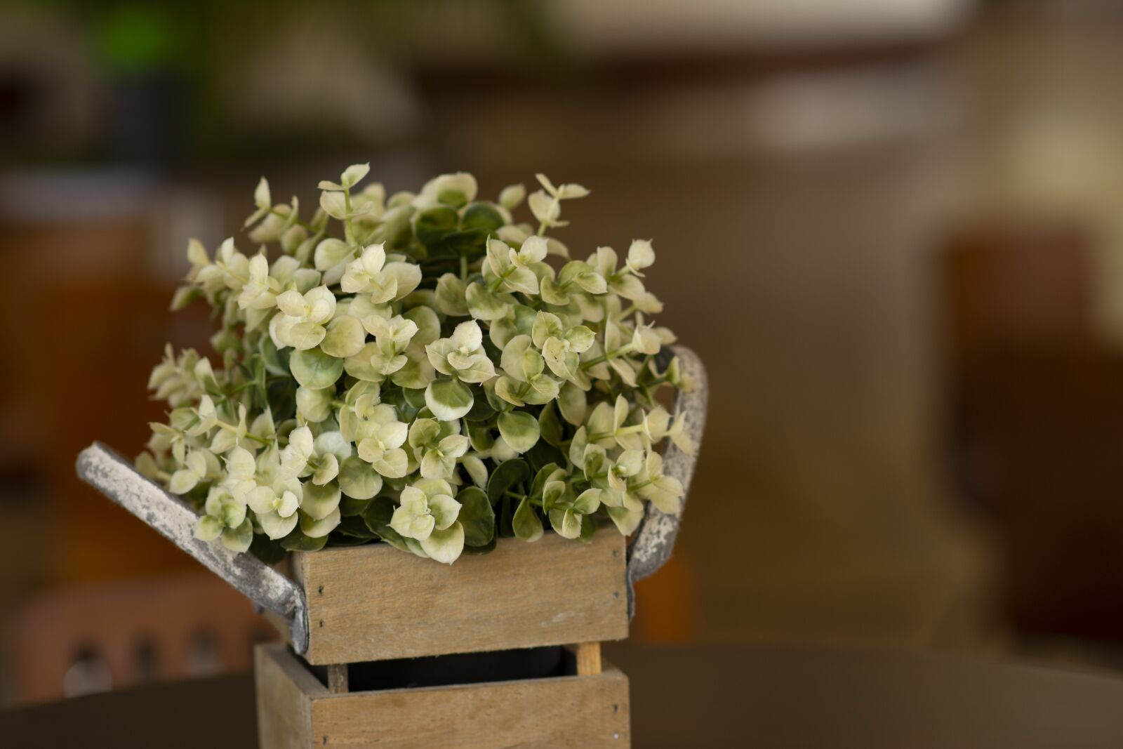 Nikon D7100 sample photo. Flower, basket, flora photography