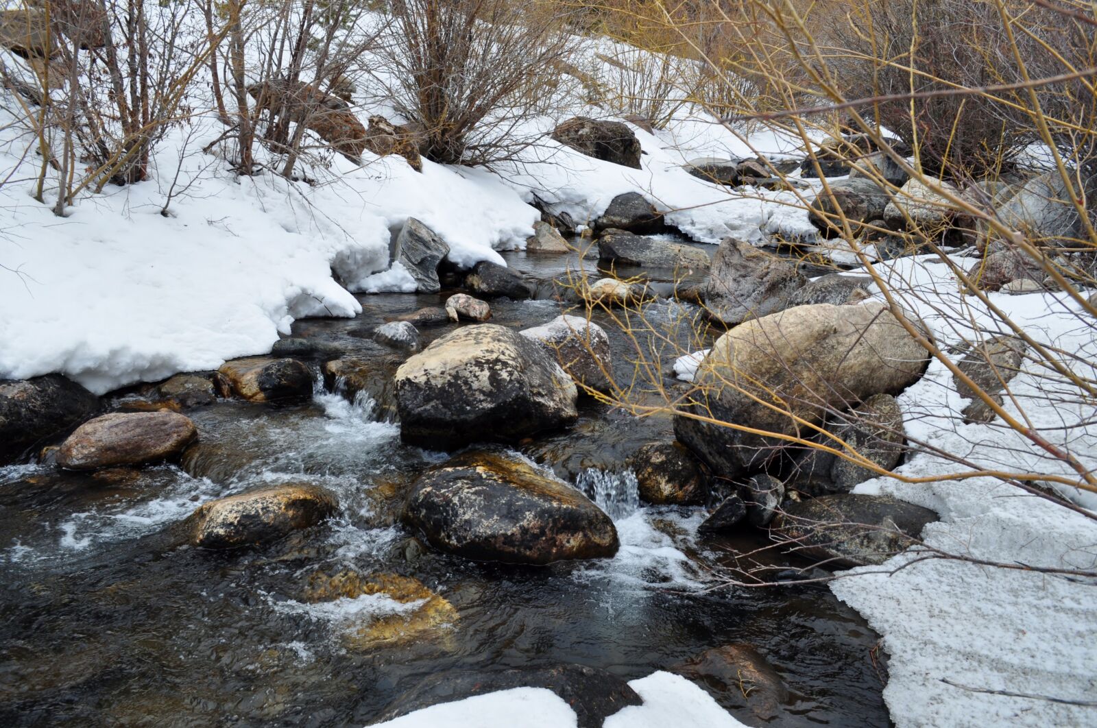 Nikon D5000 sample photo. Wyoming, winter, calm photography
