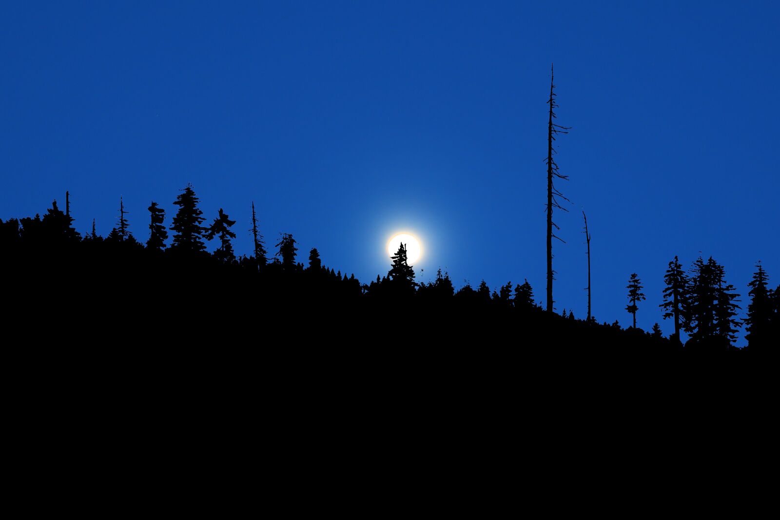 Canon PowerShot G1 X Mark III sample photo. Night, sky, moon photography