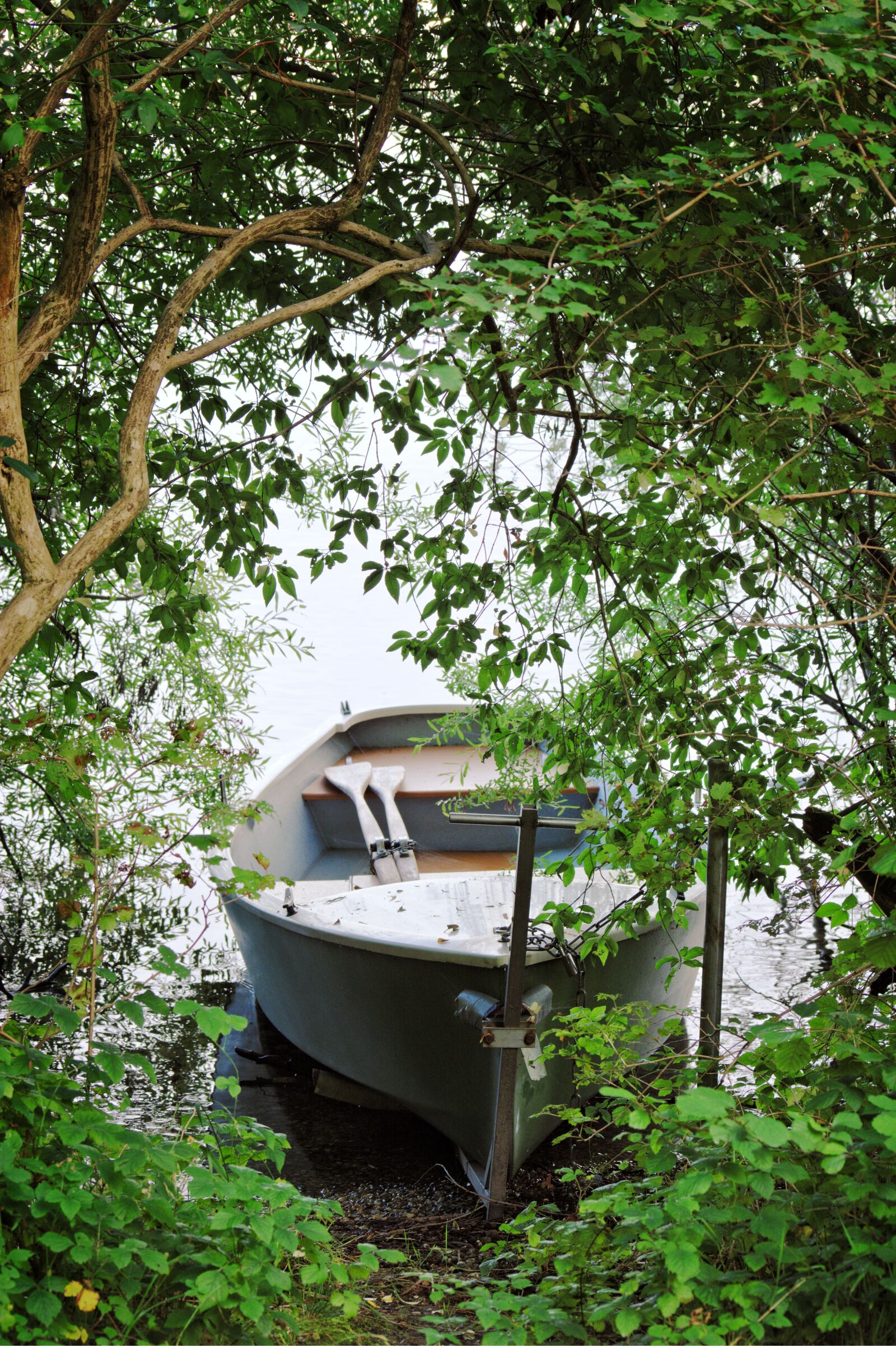 55.0-200.0mm f/4.0-f/5.6 sample photo. Rowing boat, trees, green photography