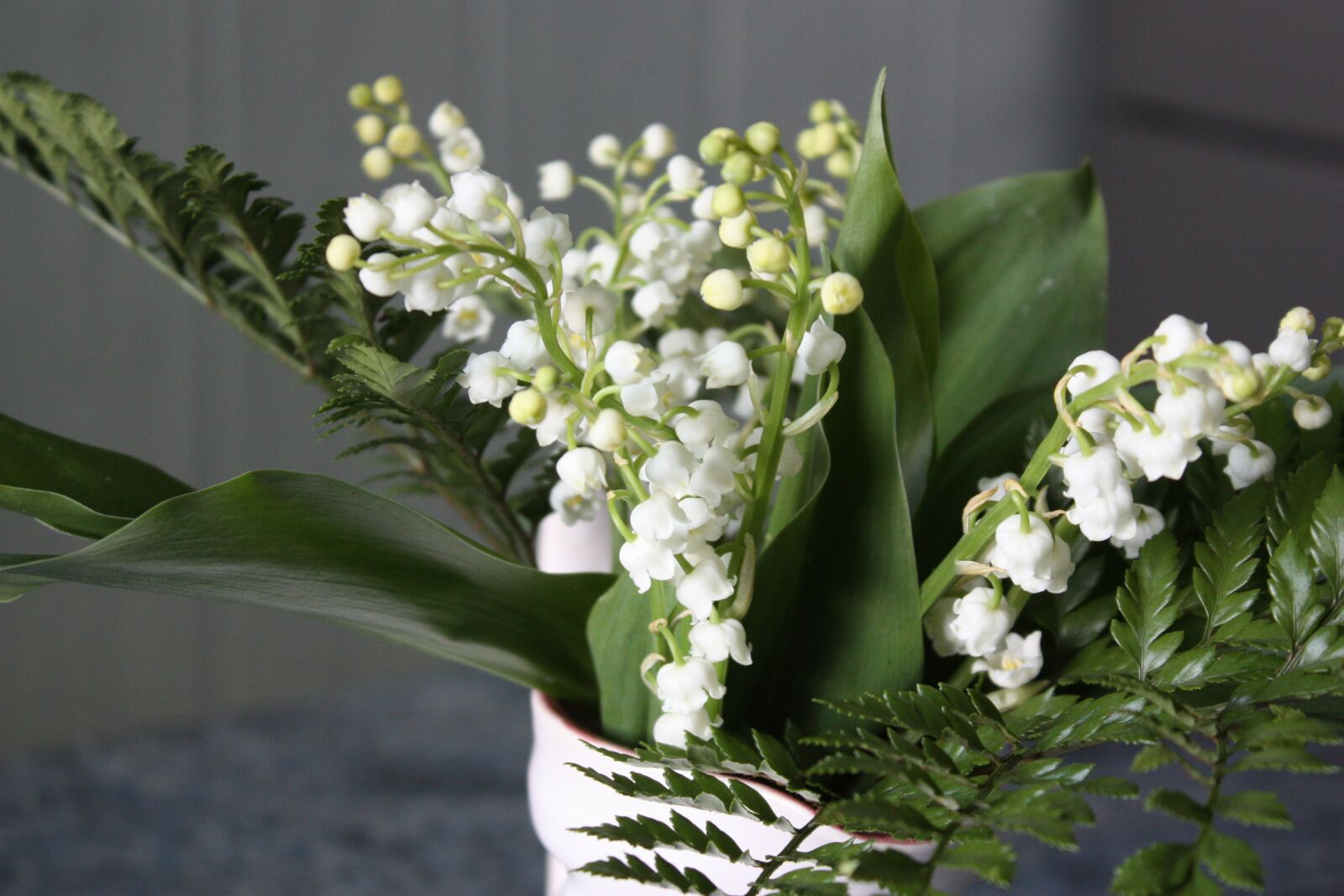 Canon EOS 450D (EOS Rebel XSi / EOS Kiss X2) sample photo. Flowers, thrush, white photography