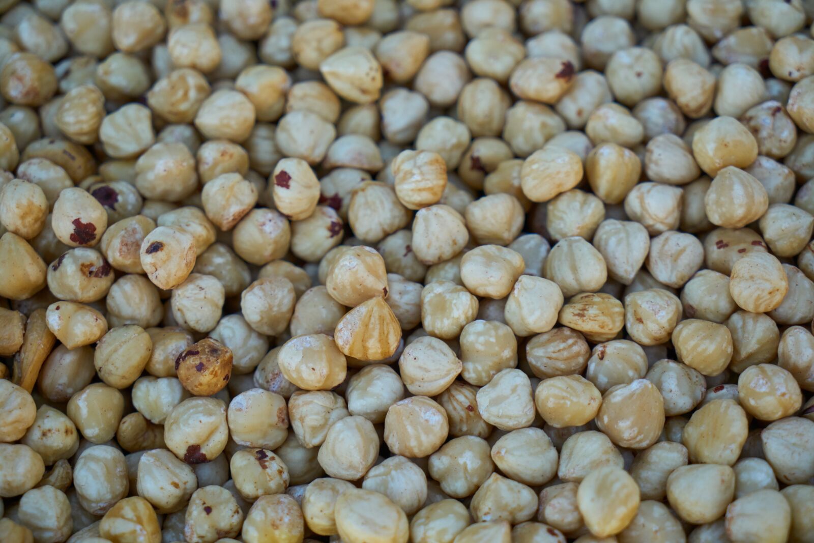 Sony a7R II sample photo. Hazelnut, nuts, food photography