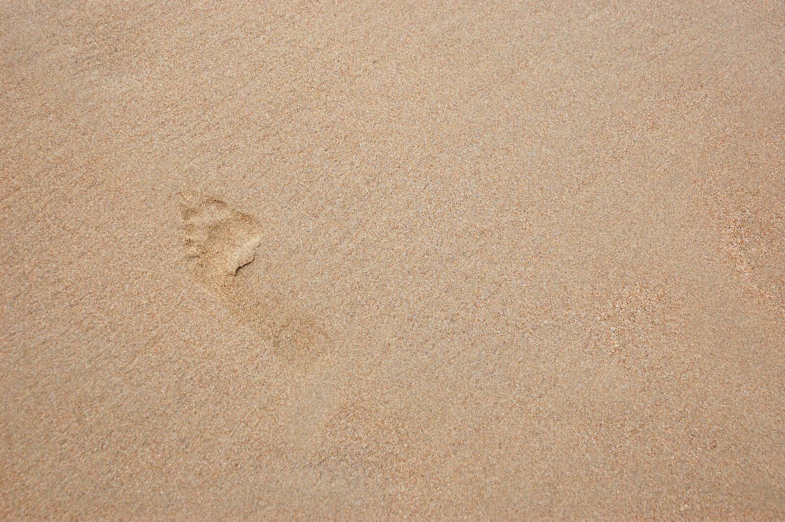 Nikon D40 + Tamron AF 18-270mm F3.5-6.3 Di II VC LD Aspherical (IF) MACRO sample photo. Footprint in the sand photography