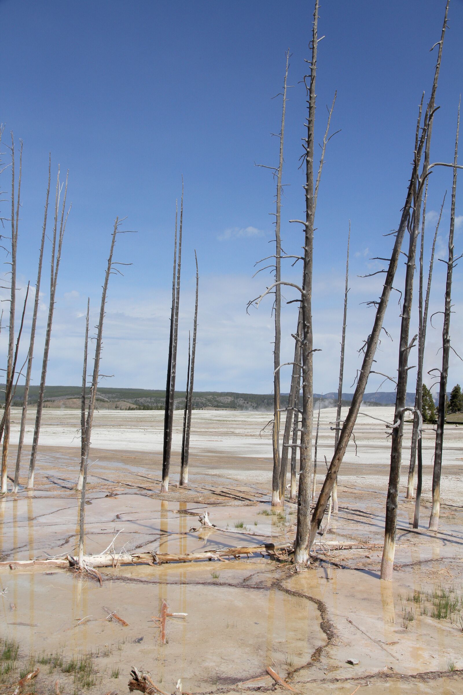 Canon EOS 7D sample photo. Yellowstone, national park, death photography
