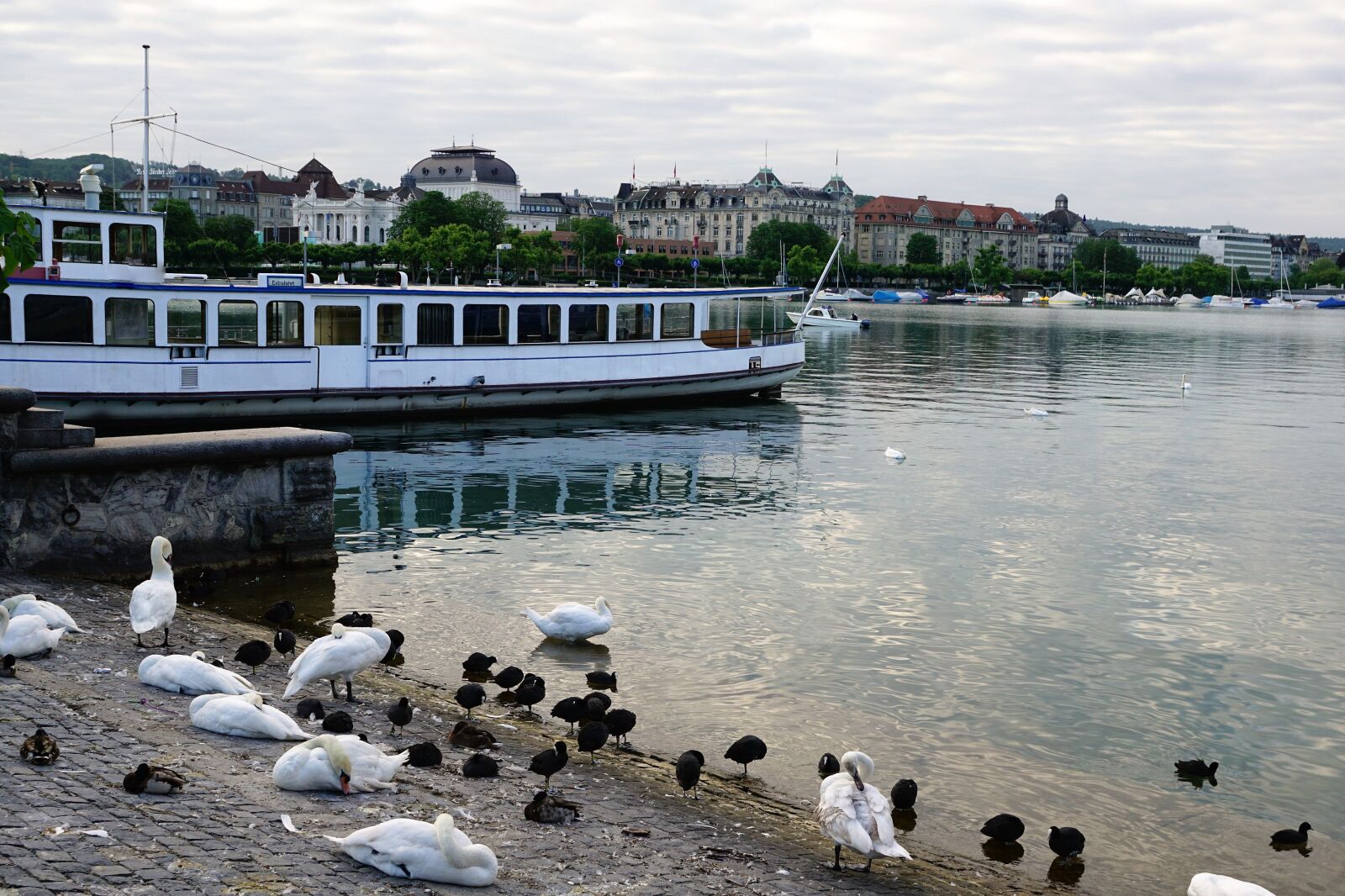 Sony ILCA-77M2 + Sony DT 16-50mm F2.8 SSM sample photo. City, europe, zurich photography