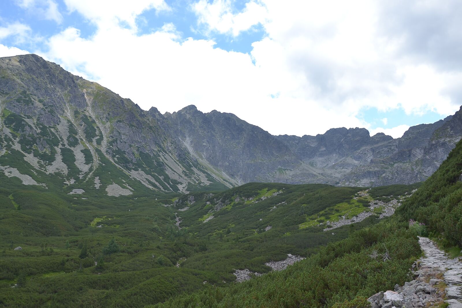 Nikon D3100 sample photo. Buried, mountains, hala g photography