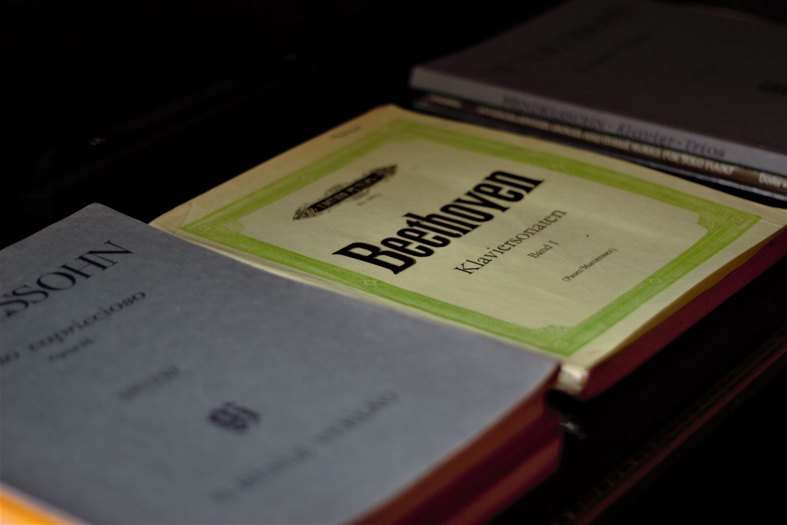 Canon EOS 600D (Rebel EOS T3i / EOS Kiss X5) sample photo. Beethoven, lyrics, music lessons photography