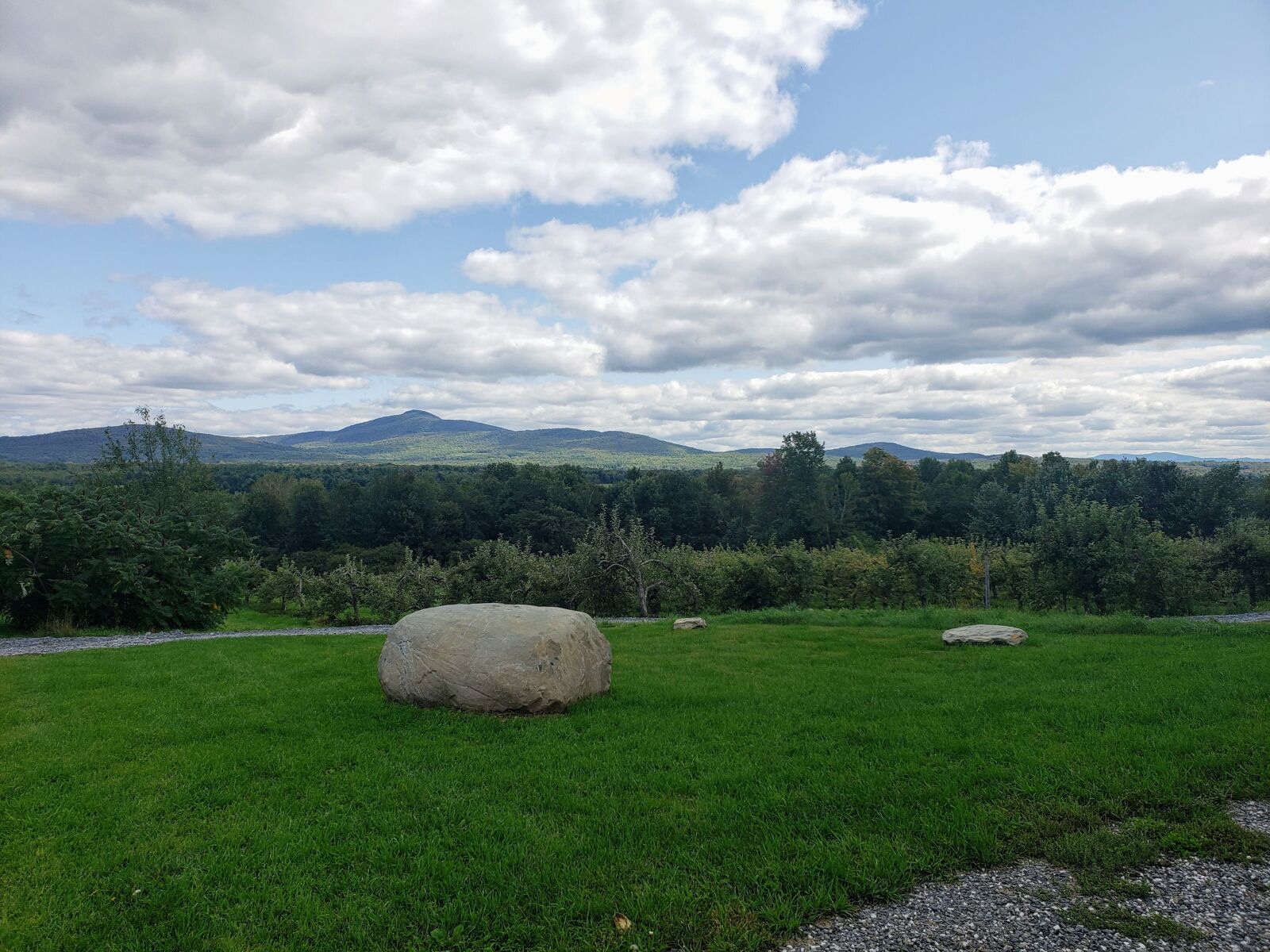Samsung Galaxy S9+ sample photo. Grass, rock, nature photography