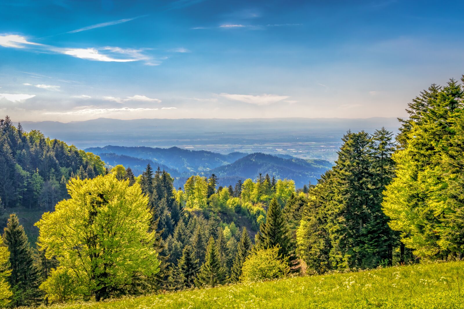 Nikon D3300 sample photo. Mountains, outlook, black forest photography