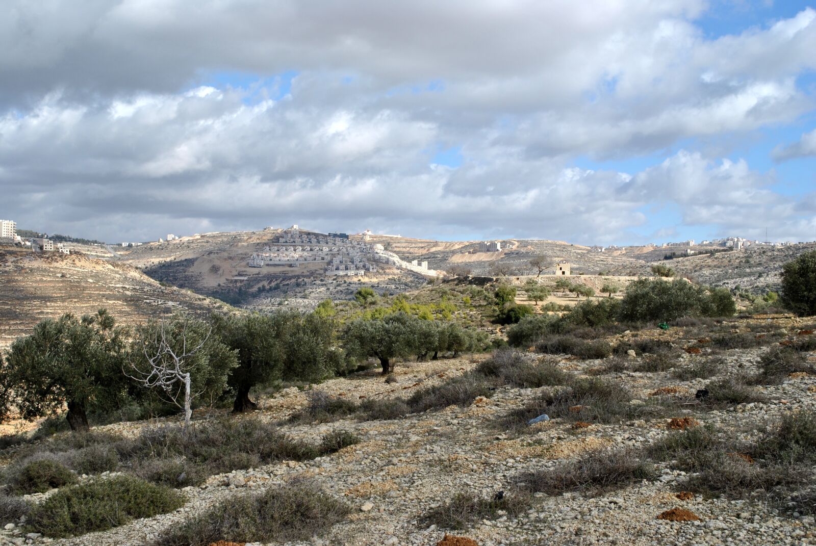 Nikon D3000 sample photo. Palestine, ramallah, birzeit photography