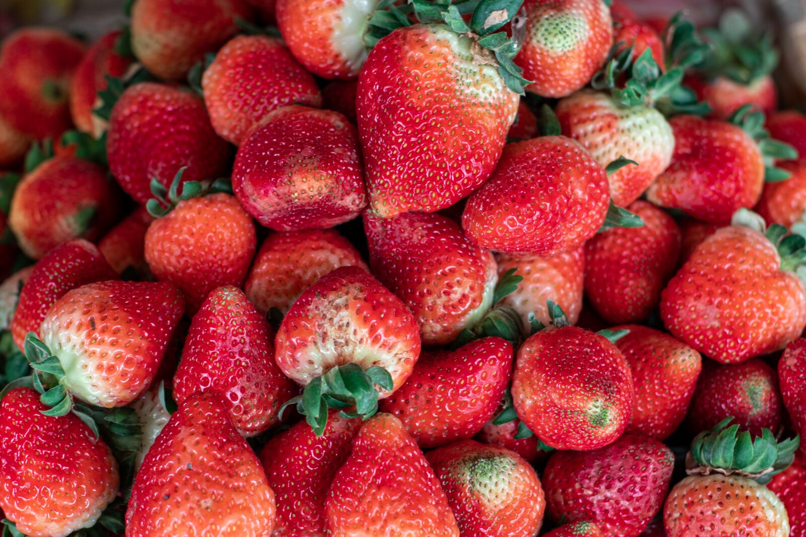 Canon EOS 80D sample photo. Strawberry, plant, fruit photography
