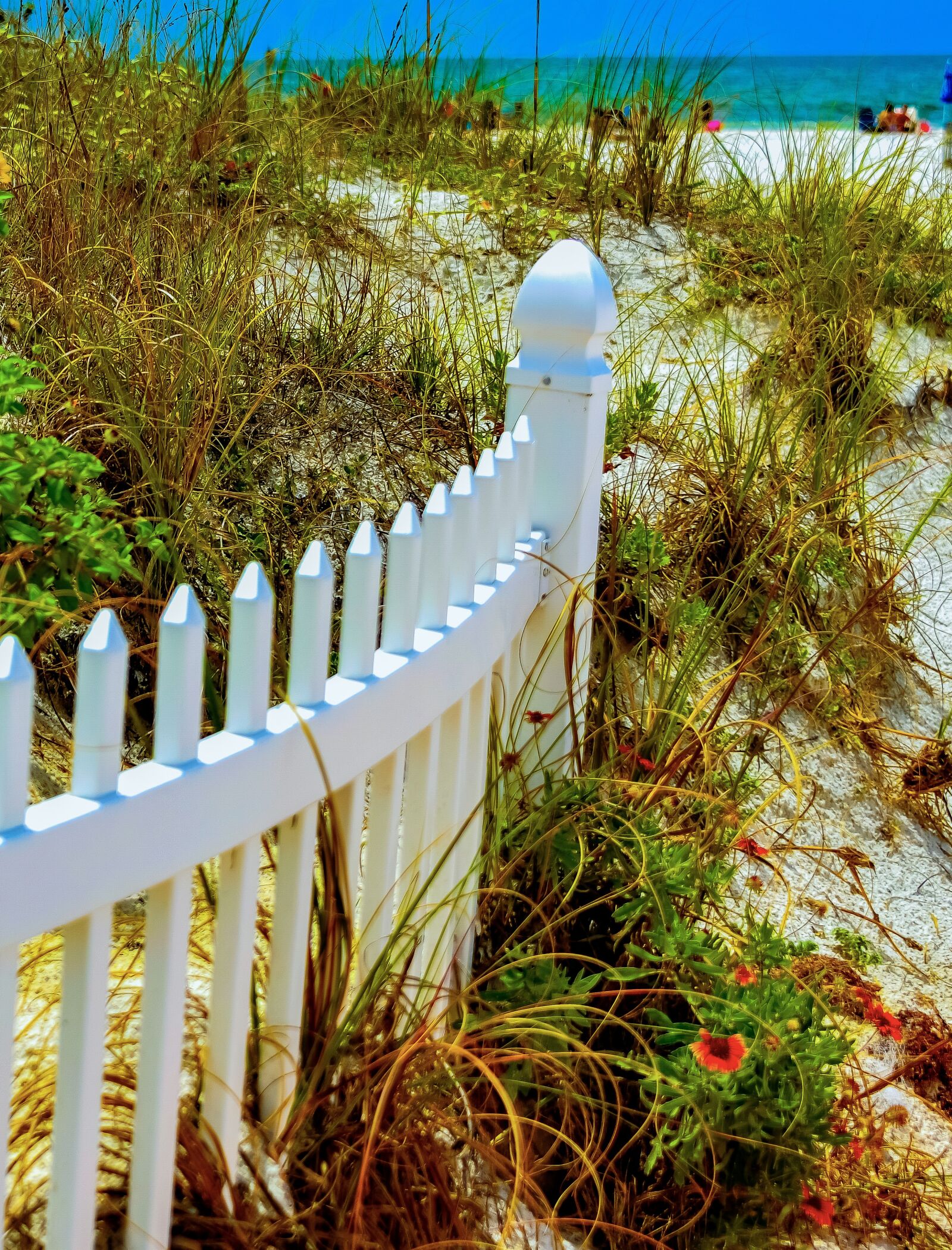 Nikon D850 sample photo. Fence, sand, beach photography