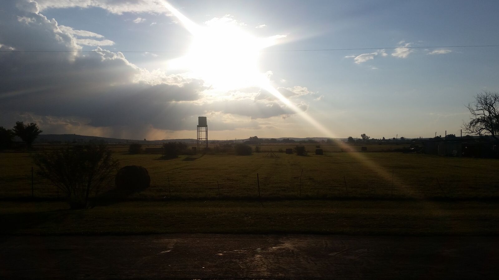 Samsung Galaxy S5 sample photo. Sun, glare, nature photography