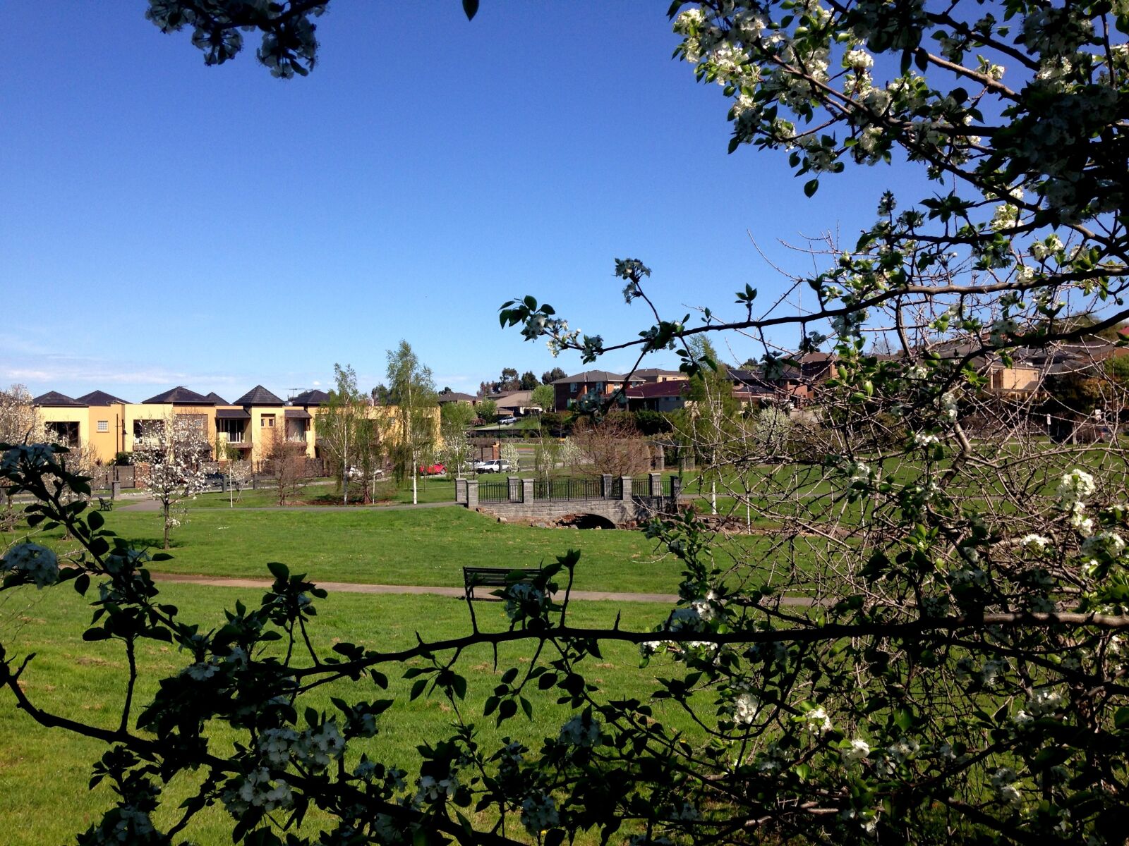 iPhone 5c back camera 4.12mm f/2.4 sample photo. Blue, sky, buildings, grass photography
