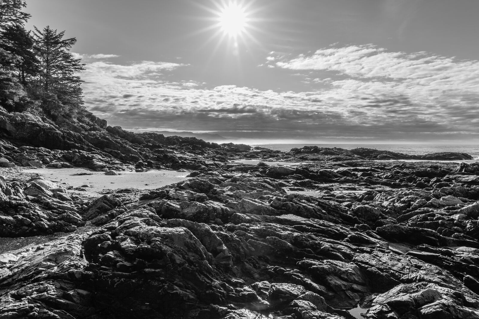 Sony FE 24-105mm F4 G OSS sample photo. Beach, tofino, vancouver island photography
