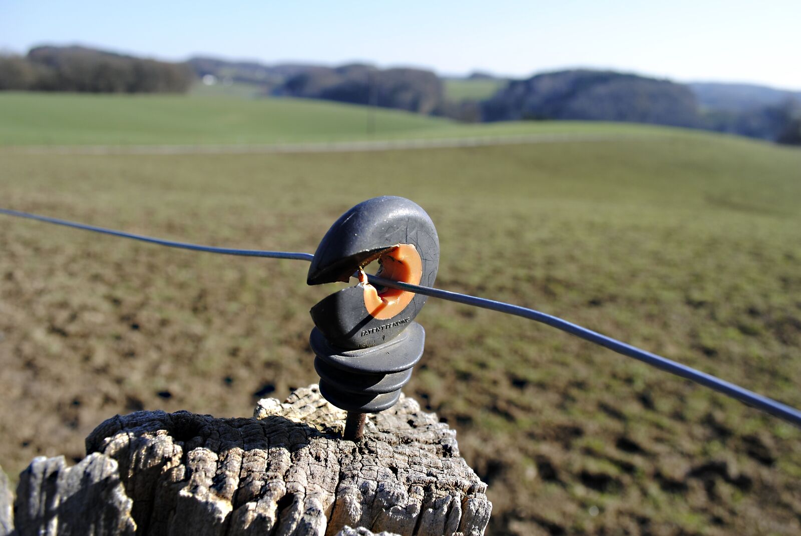 Nikon D3000 sample photo. Current, wood, field photography