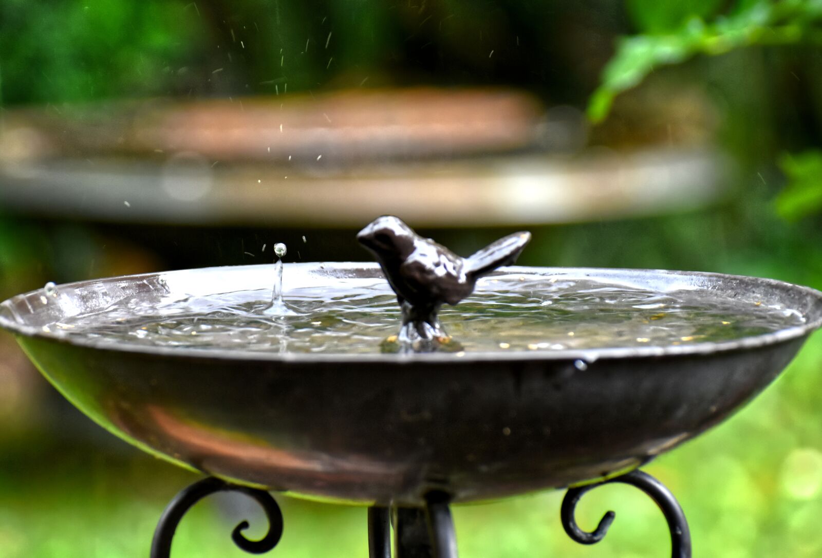 Nikon D7200 sample photo. Bird bath, water, drip photography
