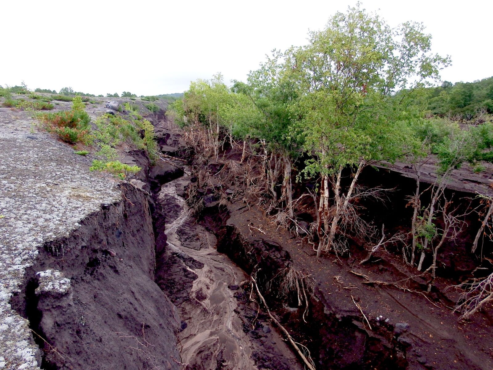 Fujifilm FinePix S1 sample photo. Element, ravine, fault photography
