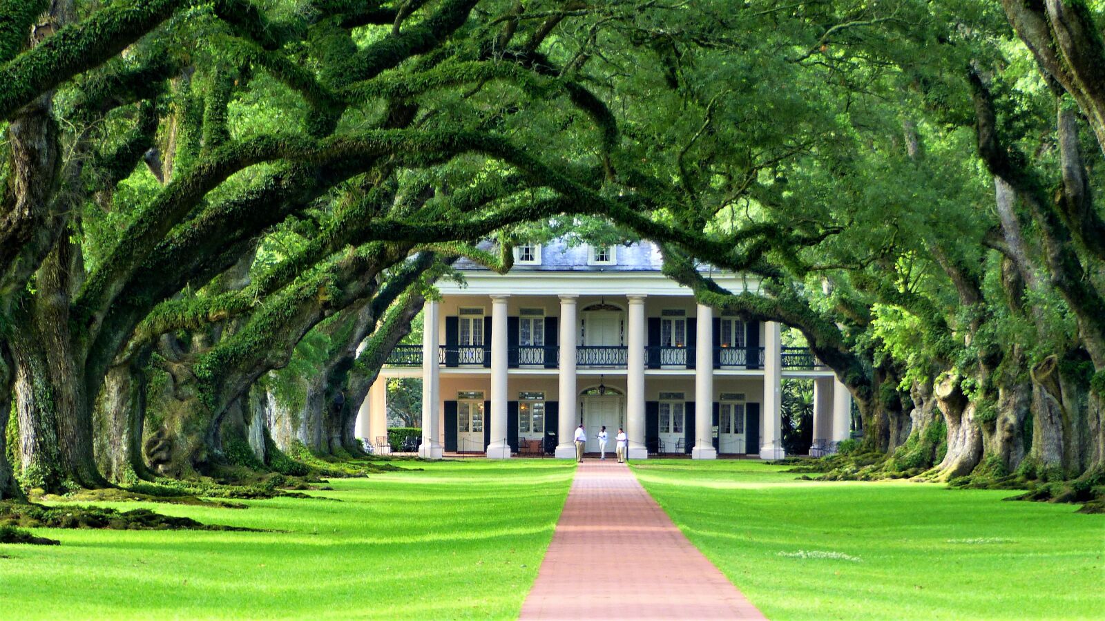 Panasonic Lumix DMC-FZ200 sample photo. Nature, plantation, louisiana photography