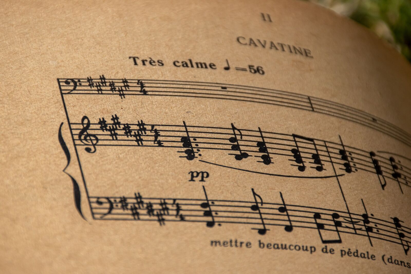 Nikon D5600 sample photo. Music sheet, musical sheet photography