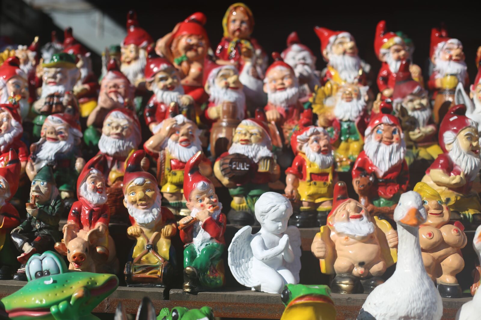 Canon EOS 6D + Canon EF 50mm F1.4 USM sample photo. Dwarfs, garden, decoration photography