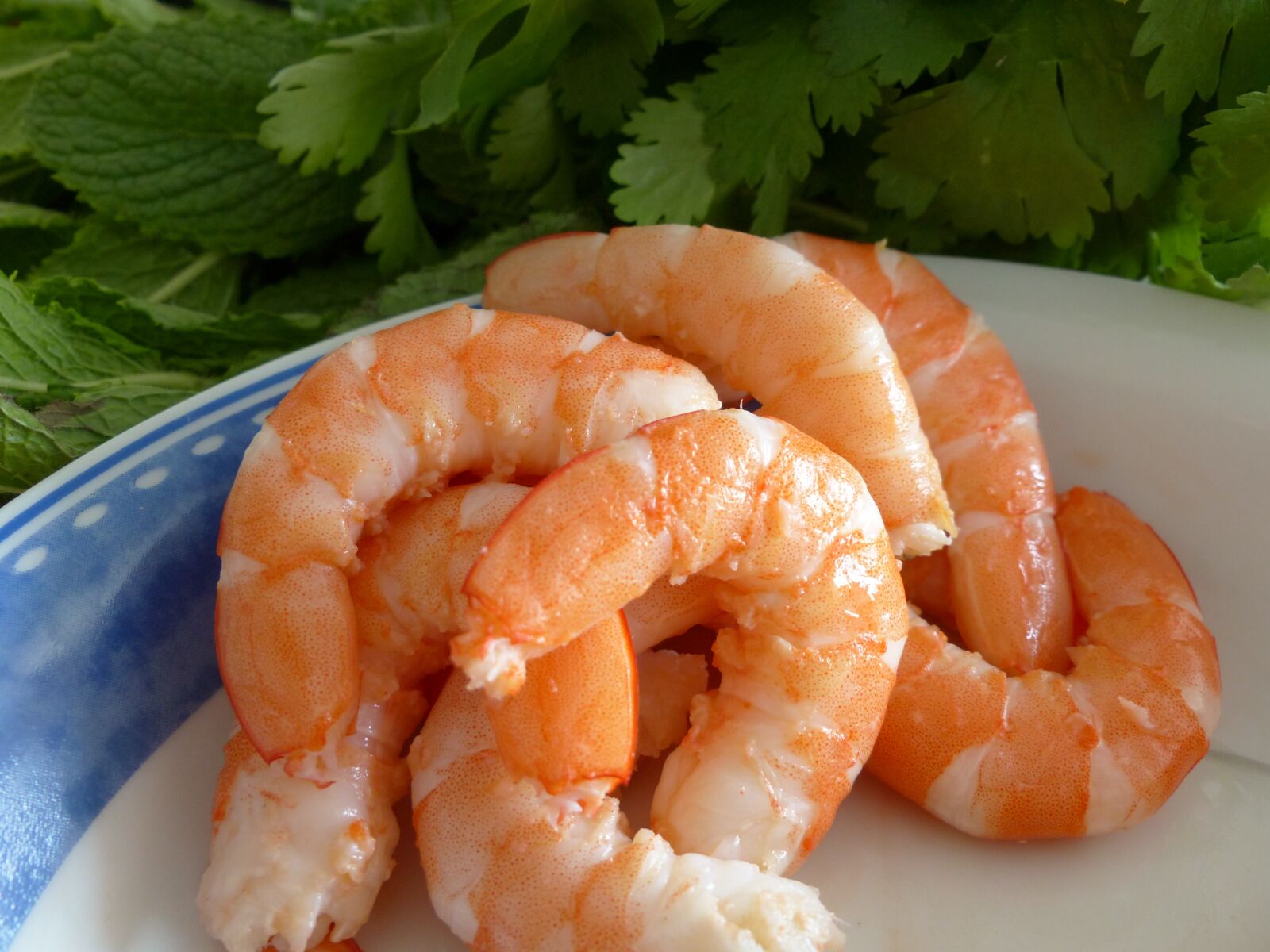 Panasonic Lumix DMC-FZ200 sample photo. Shrimp, kitchen photography