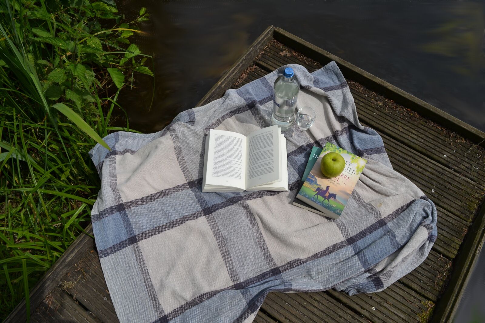 Nikon D3100 sample photo. Book, picnic, leisure photography