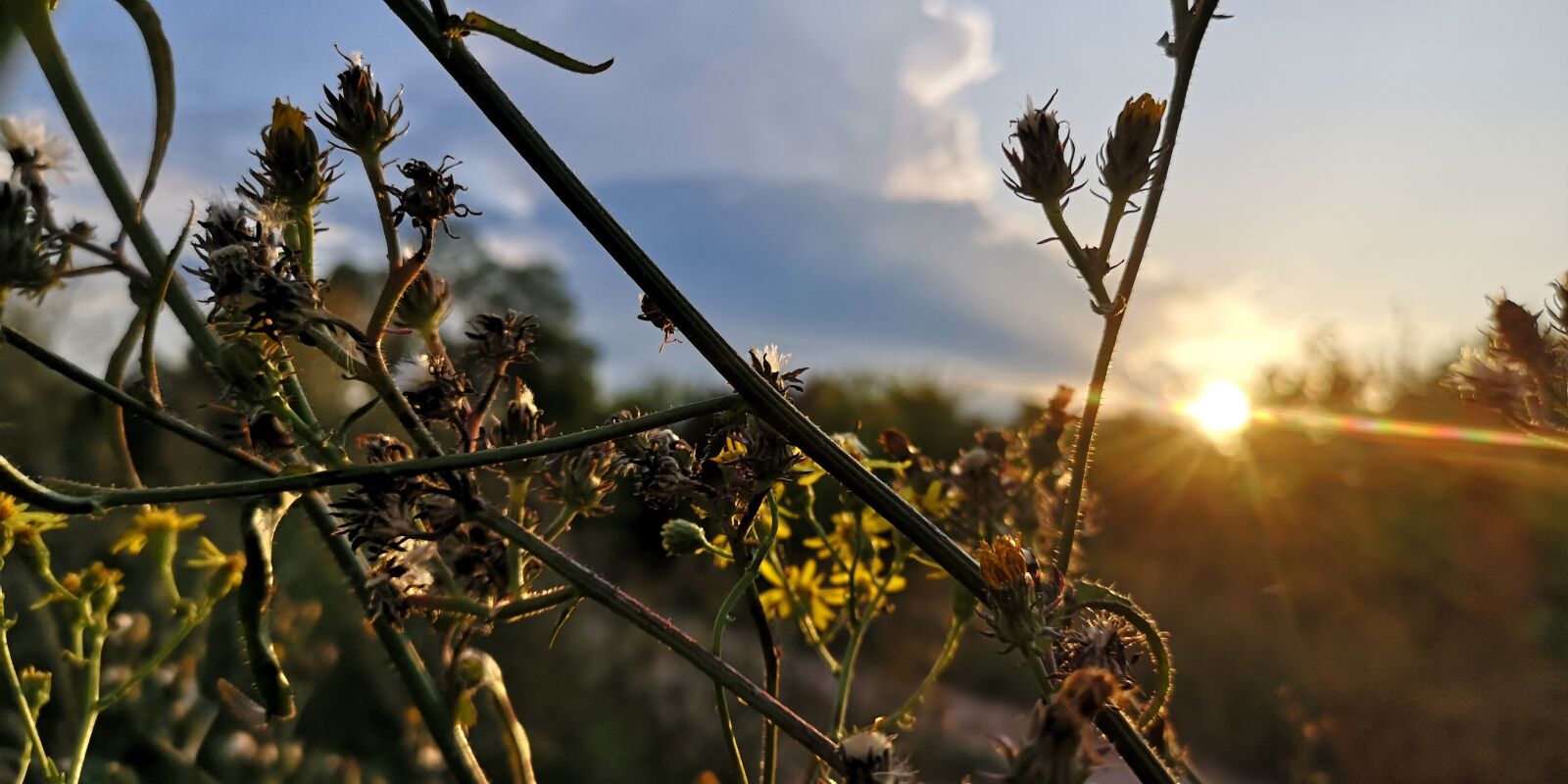 HUAWEI CLT-L29 sample photo. Sunset, nature, evening photography