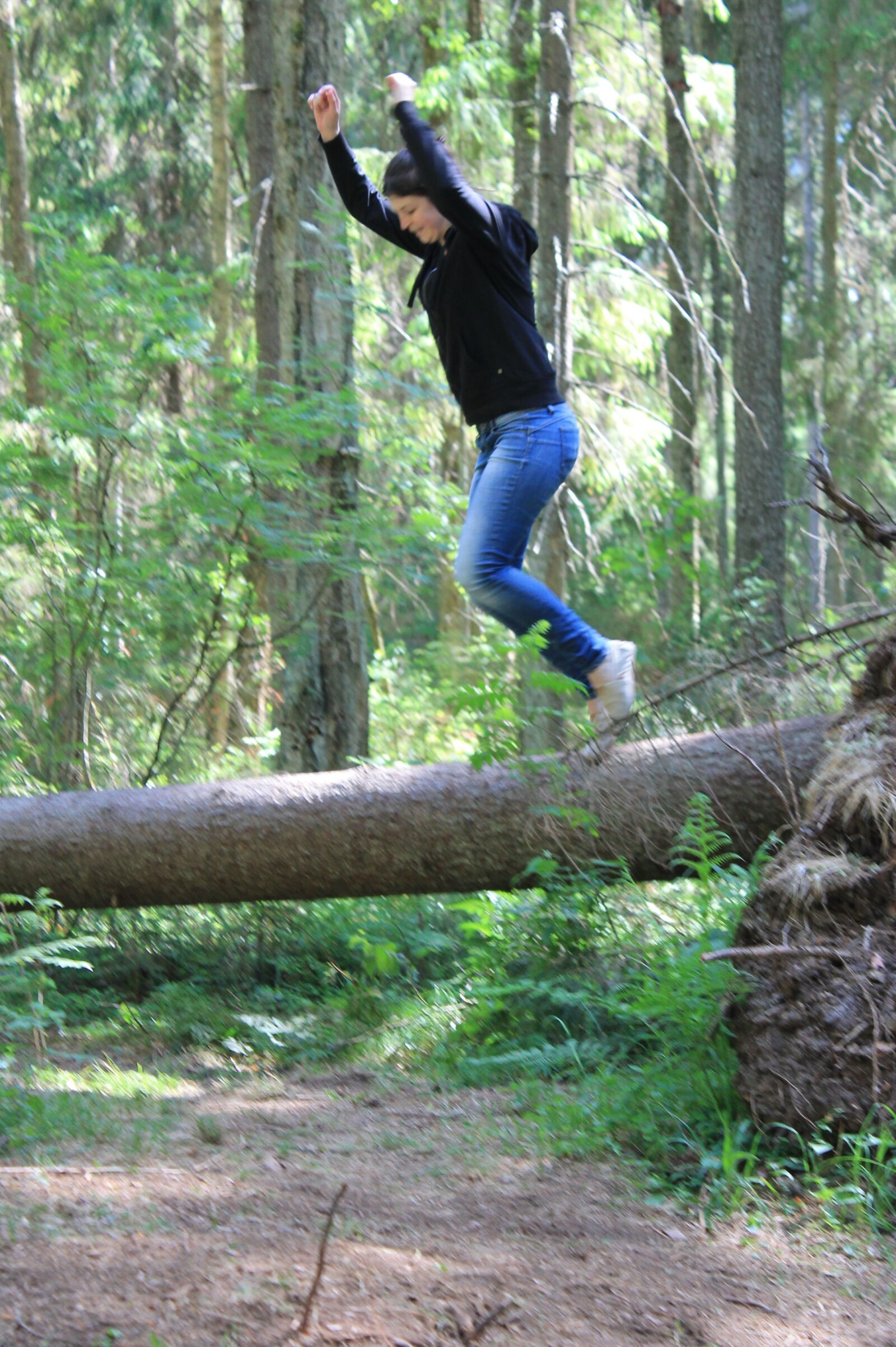 Canon EOS 1100D (EOS Rebel T3 / EOS Kiss X50) sample photo. Forest, needles, pine photography
