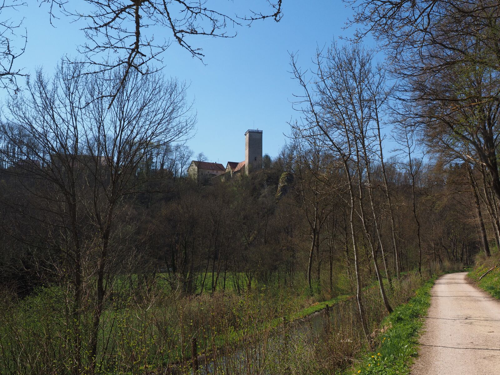 Olympus OM-D E-M1 + Olympus M.Zuiko Digital ED 12-40mm F2.8 Pro sample photo. Reichenstein castle, castle, reichenstein photography