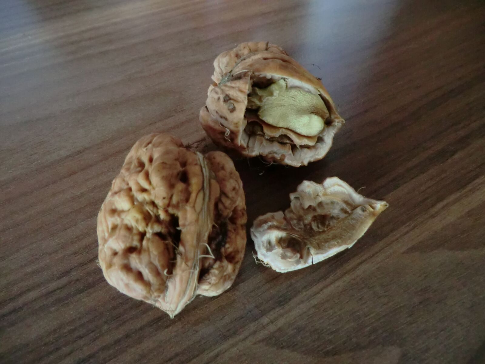 CASIO EX-H5 sample photo. Nut, nutshell, nut inside photography