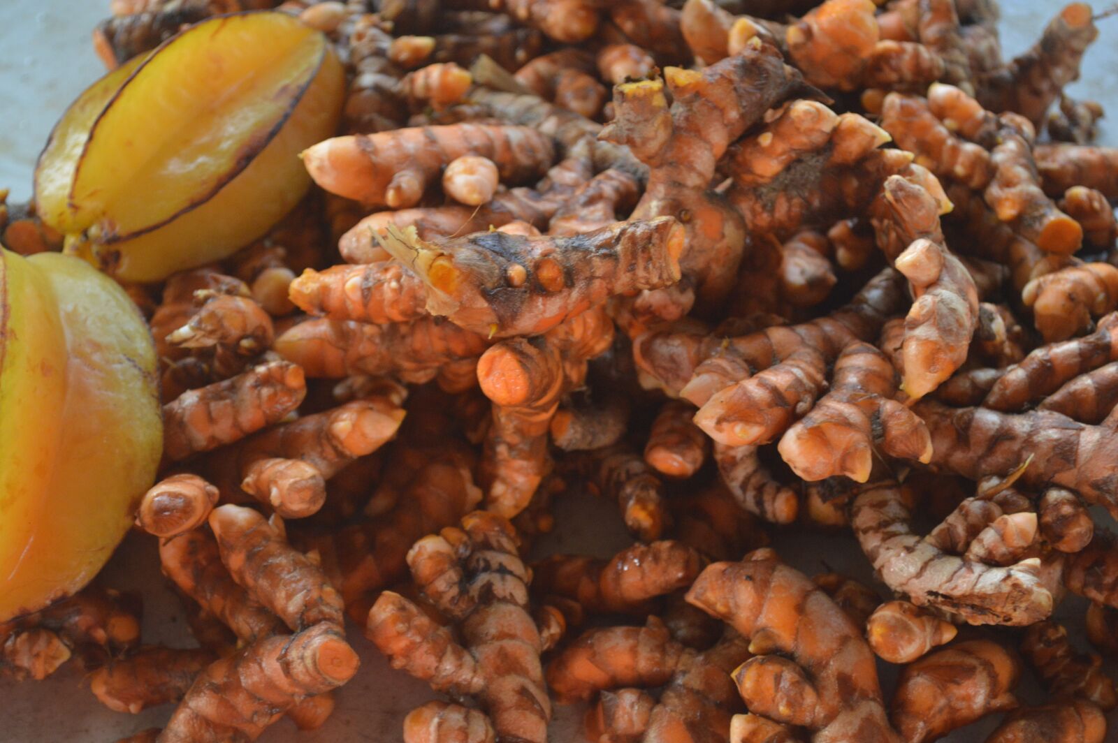 Nikon D3200 sample photo. Turmeric, fresh, root photography
