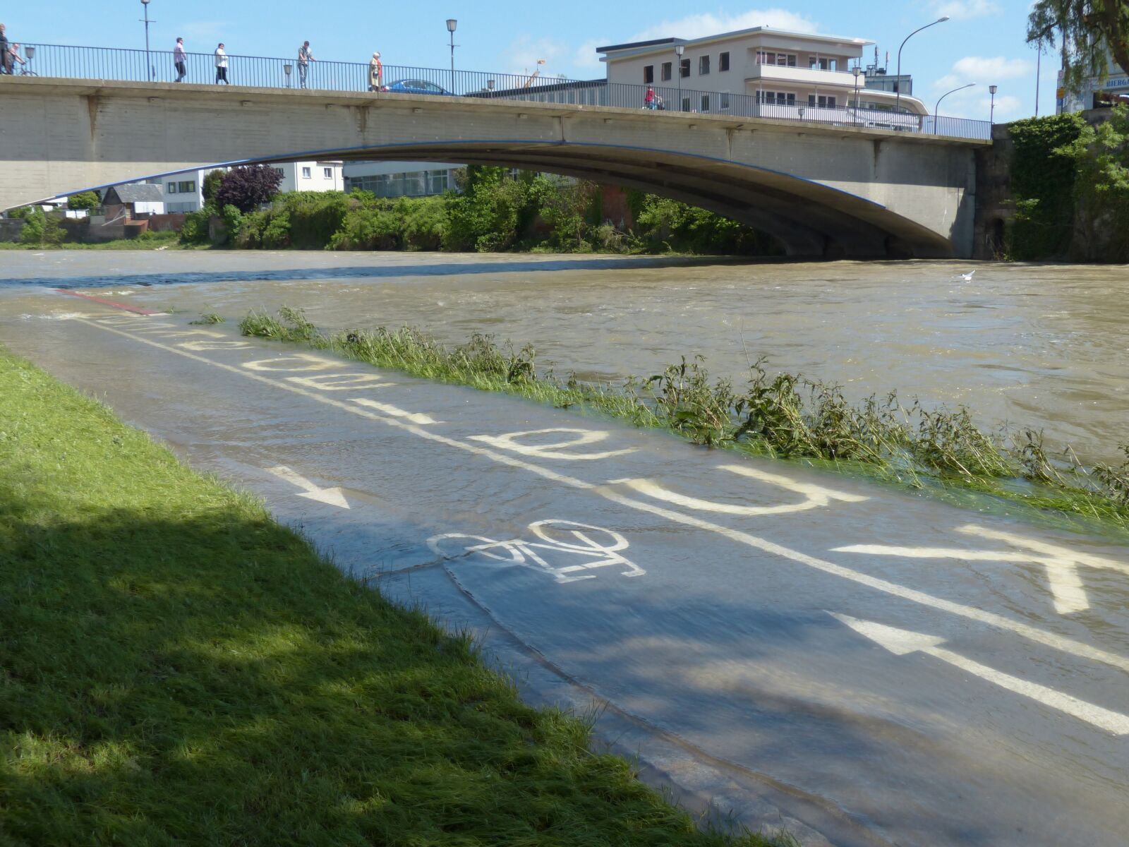 Panasonic Lumix DMC-FZ200 sample photo. Danube, high water, cycle photography
