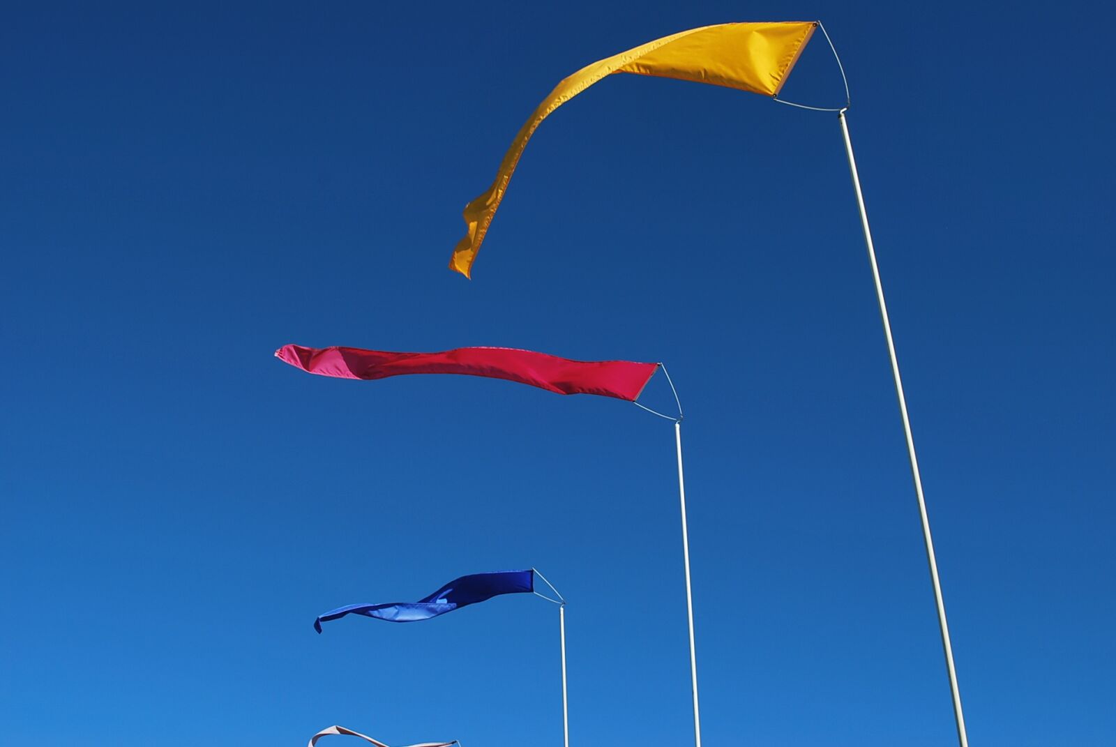 Nikon D60 sample photo. Flags, wind, primary colors photography