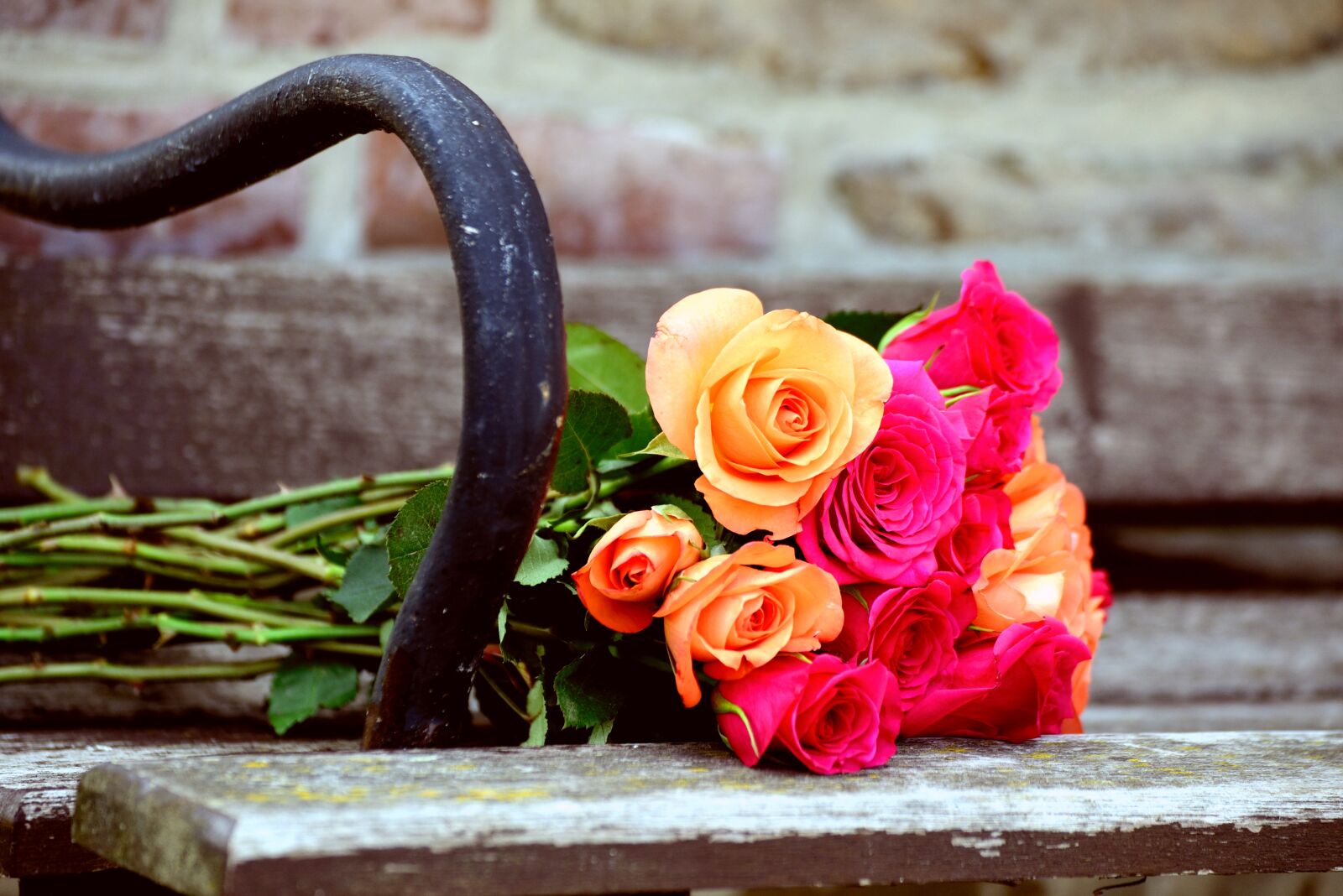 Nikon D610 sample photo. Roses, bouquet of roses photography