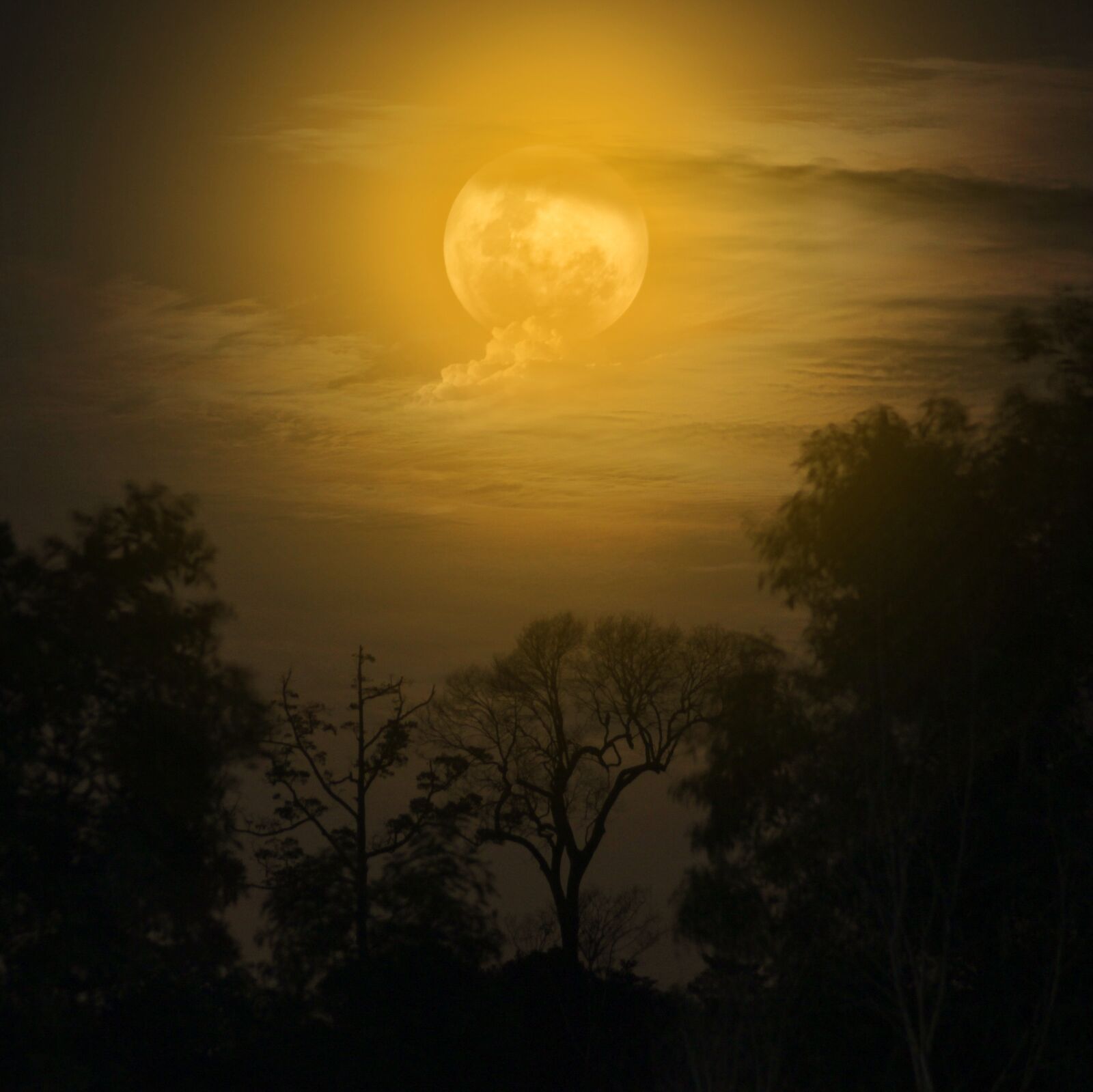Canon EOS 600D (Rebel EOS T3i / EOS Kiss X5) sample photo. Moon, night, moonlight photography