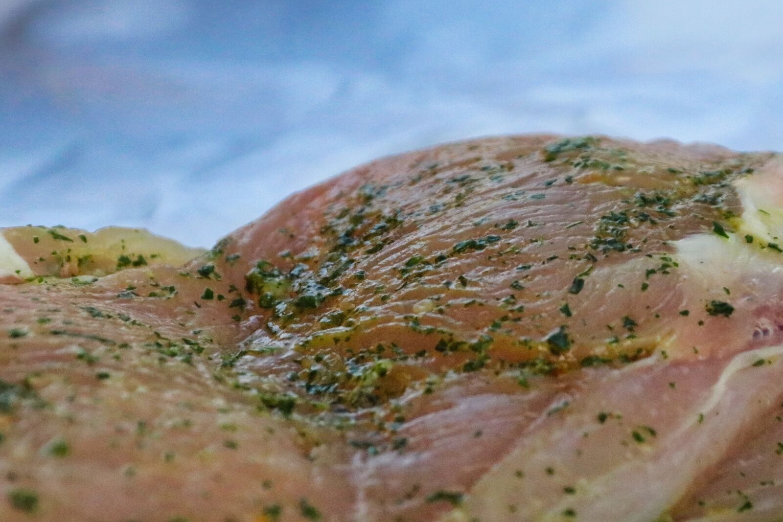 Canon EOS 80D sample photo. Turkey, grill, grilled meats photography