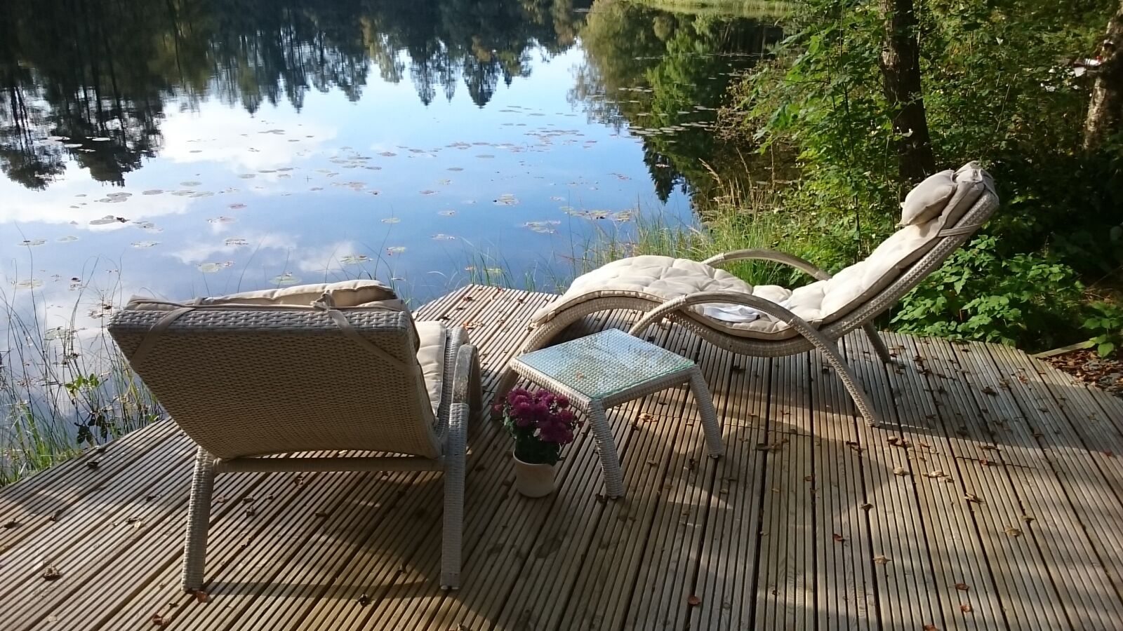 Sony Xperia Z Ultra sample photo. Wood, nature, relaxation photography