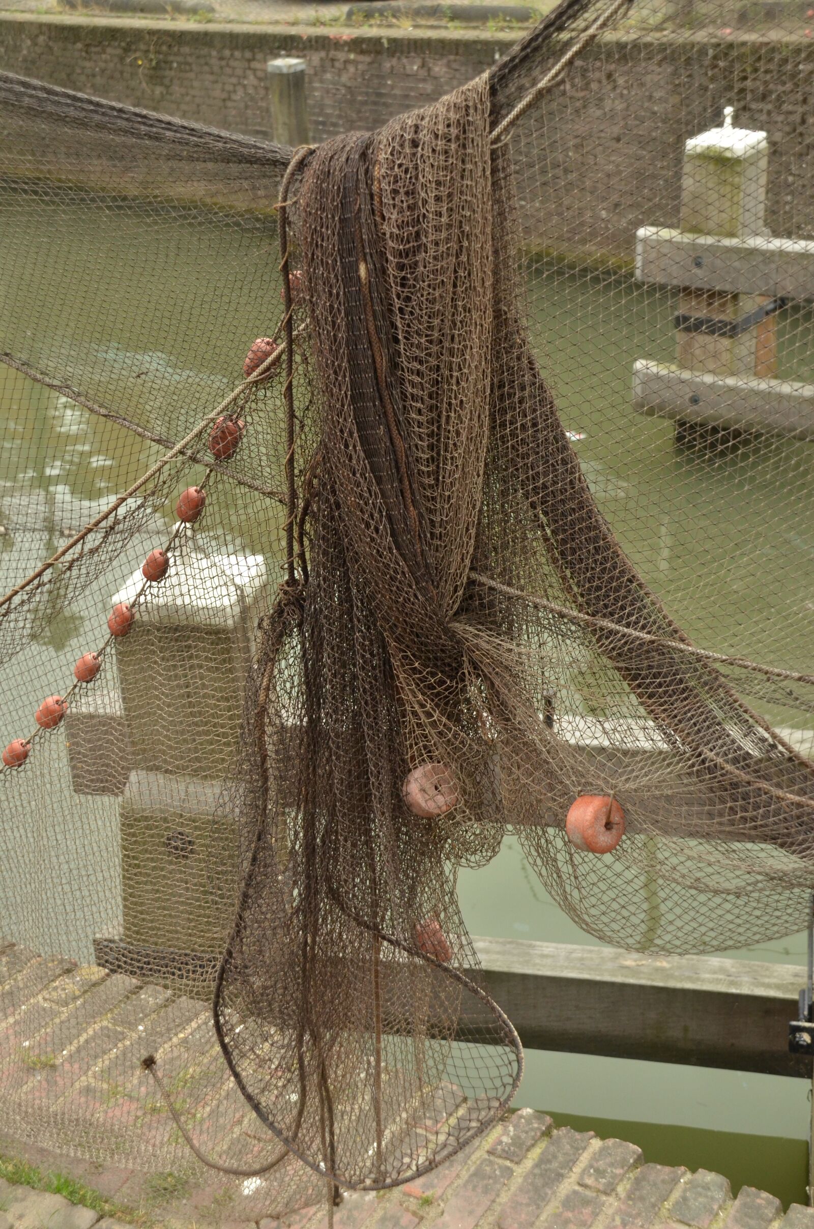 Nikon D7000 sample photo. Just, fishnet, fish photography