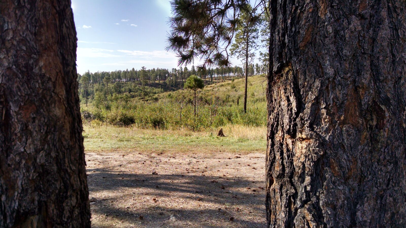 Motorola XT1080 sample photo