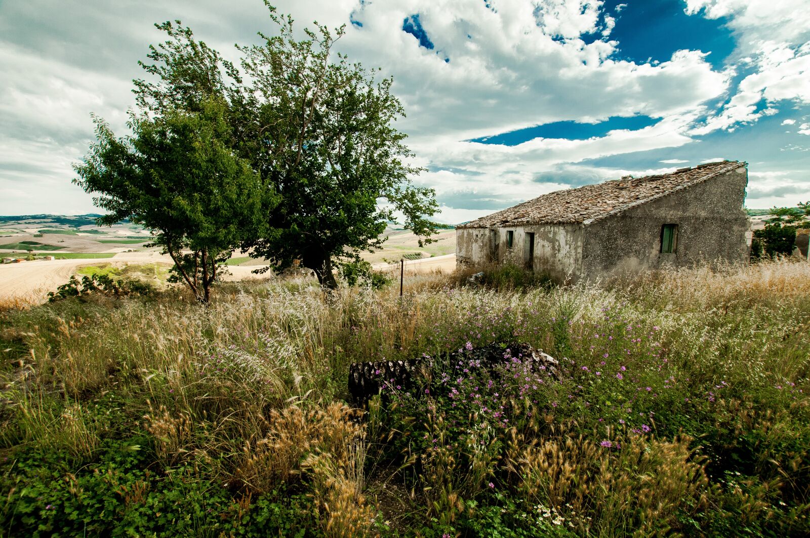Nikon D300 sample photo. Campaign, sky, landscape photography