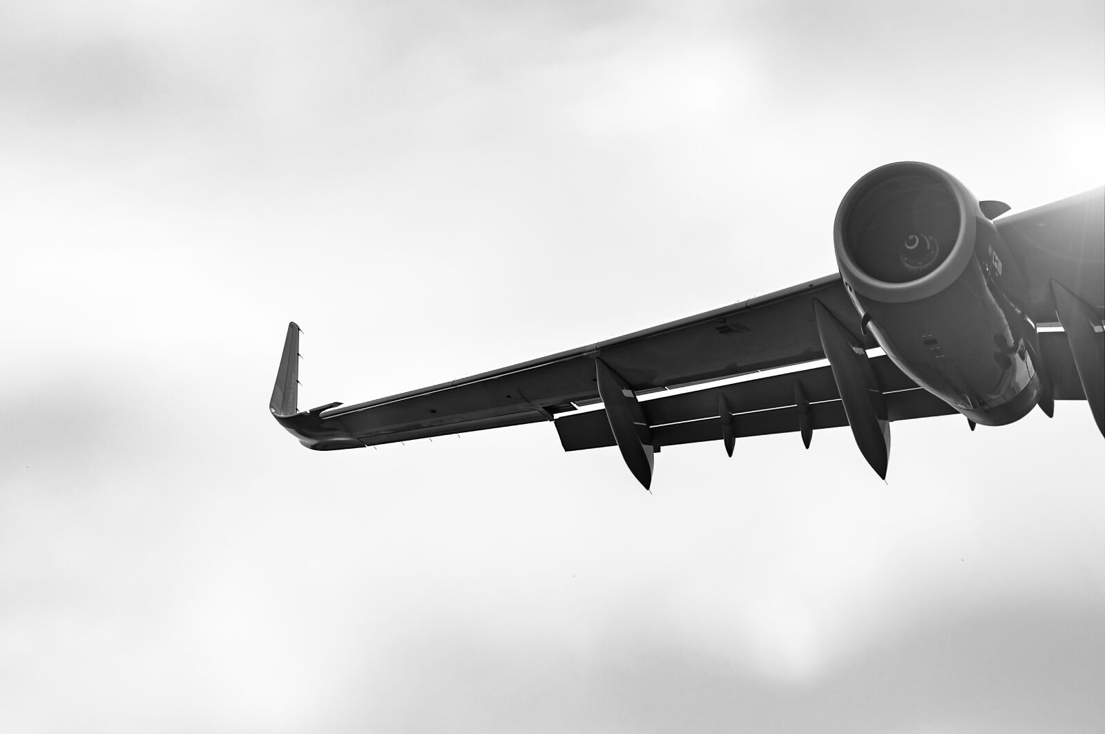 Nikon D90 sample photo. Airplane, aerial, plane photography
