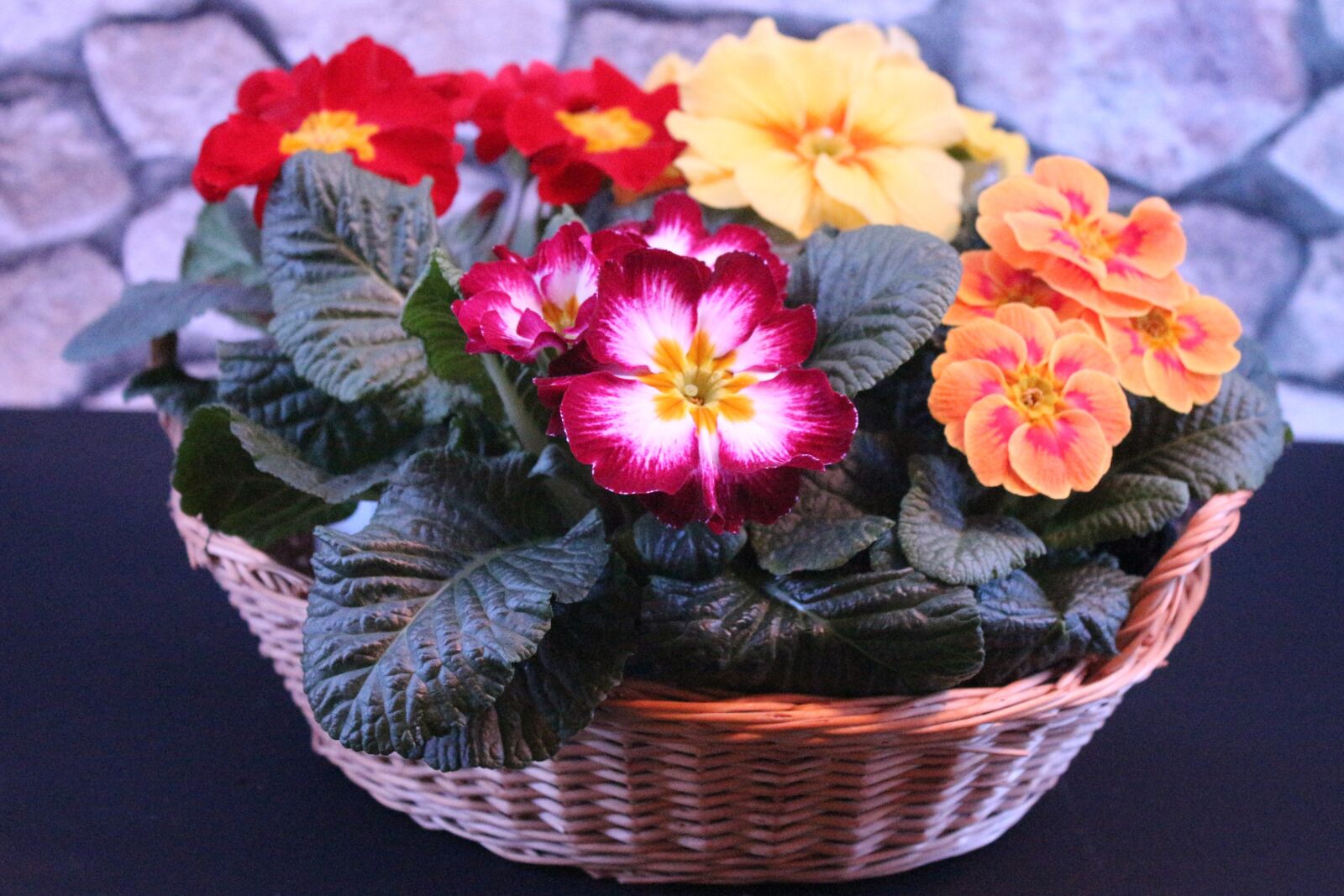 Canon EOS 700D (EOS Rebel T5i / EOS Kiss X7i) sample photo. Flowers, colorful, basket photography