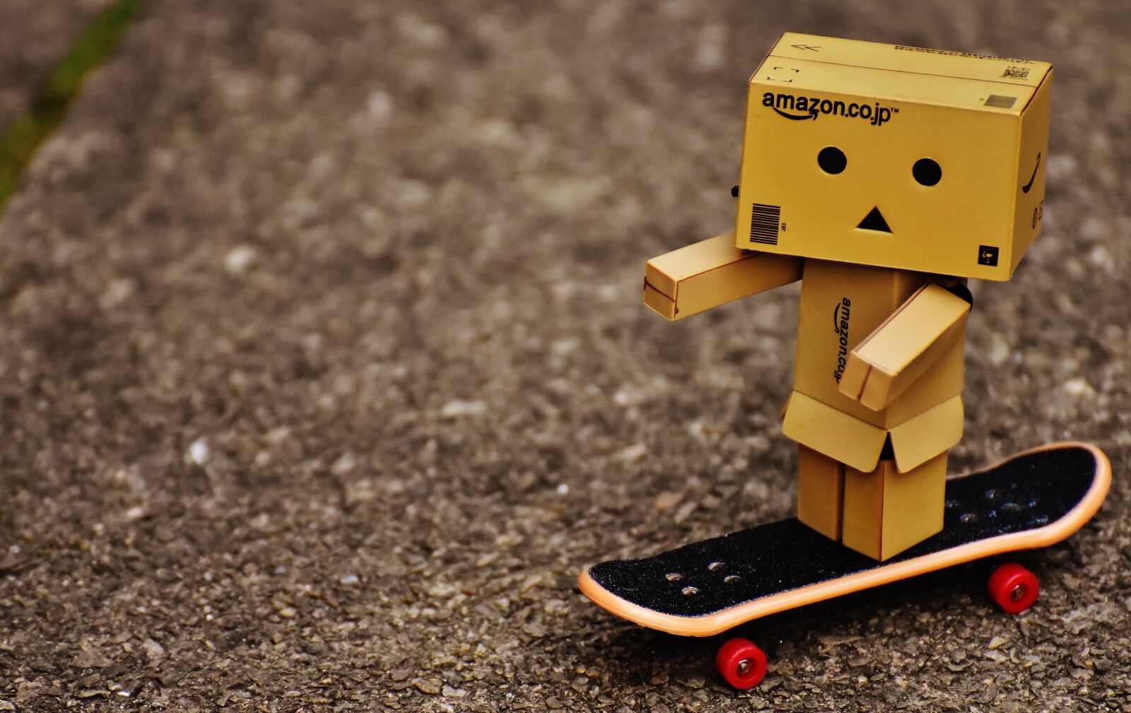 Nikon D7200 sample photo. Danbo, skateboard, drive photography