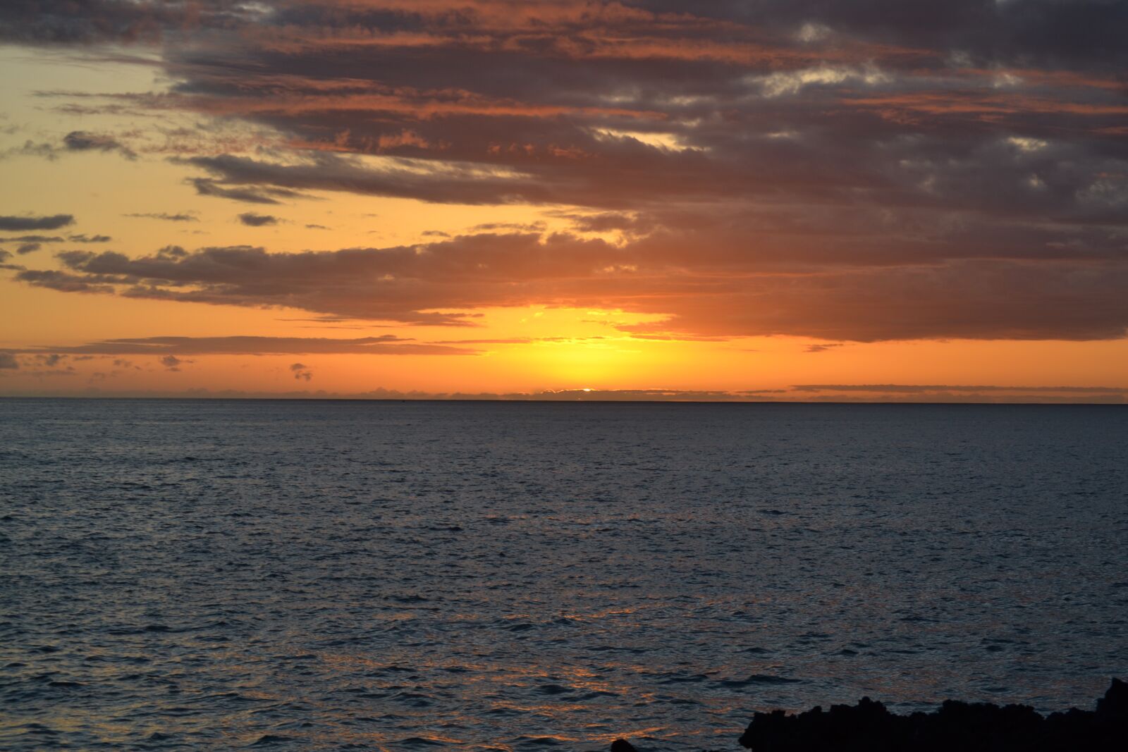 Nikon D3100 sample photo. Sunset, greenflash, kona photography